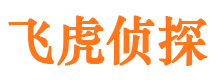 贺兰市调查公司